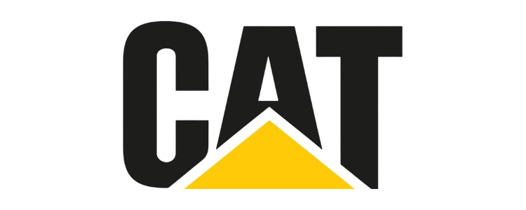 cymsi cat